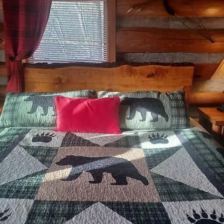 The Pine Knot Cabin Sevierville Extérieur photo